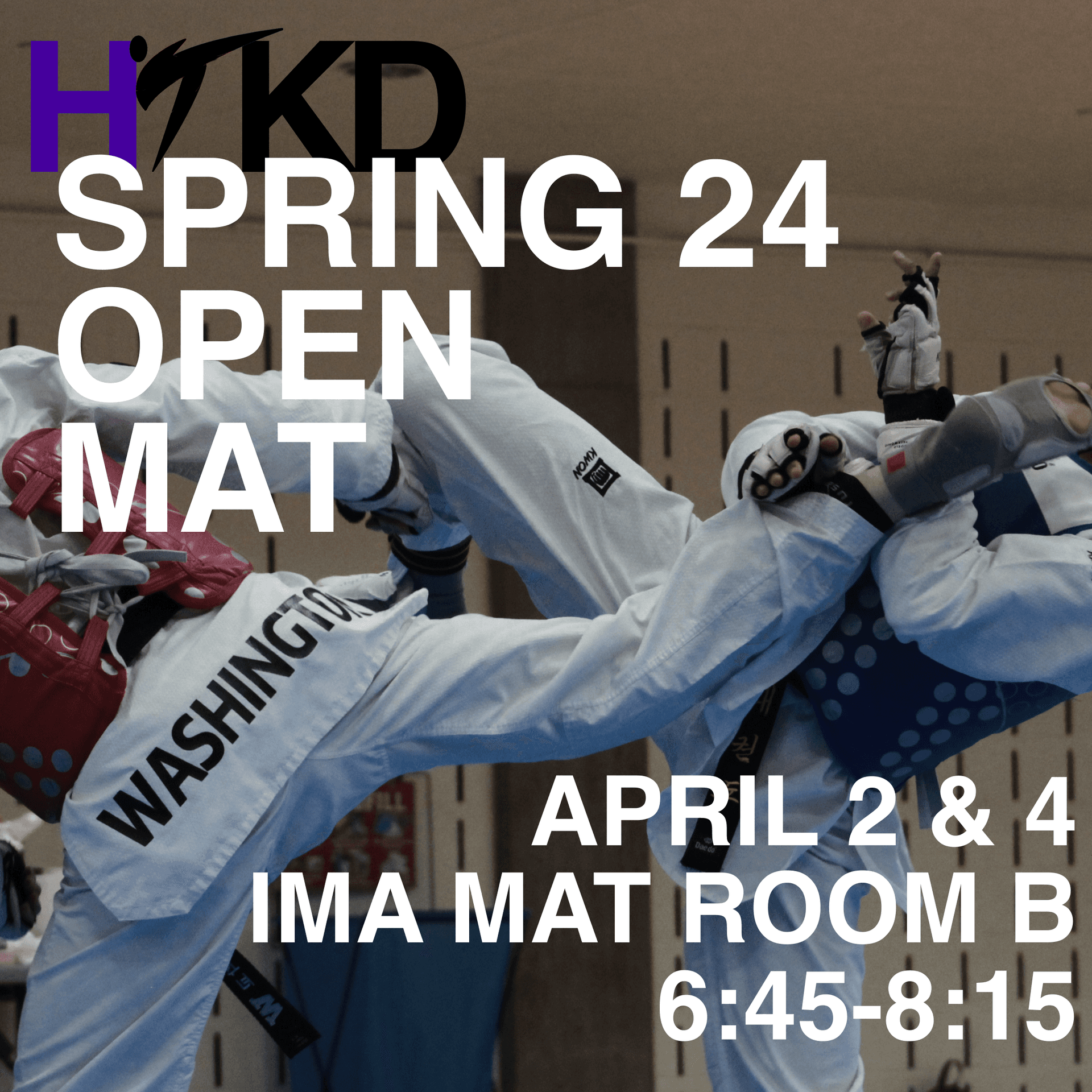 TAEKWONDO - Image 2